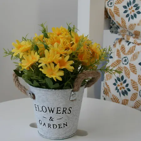 Enjoy Selecta Conil * Conil de la Frontera