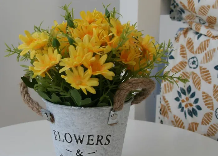 Enjoy Selecta Conil * كونيل ذي لا فرونتيرا